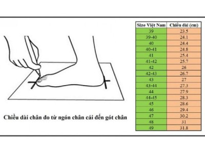 Cách đo và tính size giày khi mua hàng Mỹ siêu chuẩn cho nam, nữ