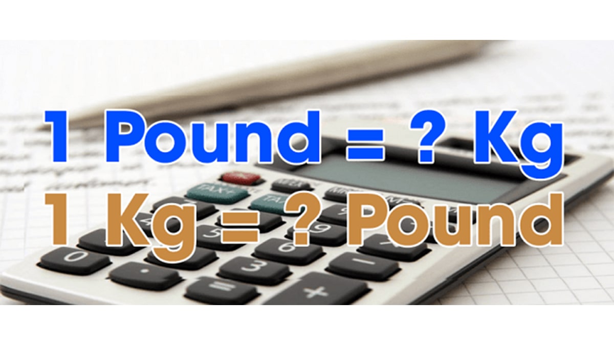 1 pound bằng bao nhiêu kg? Cách quy đổi khối lượng từ pound sang kg