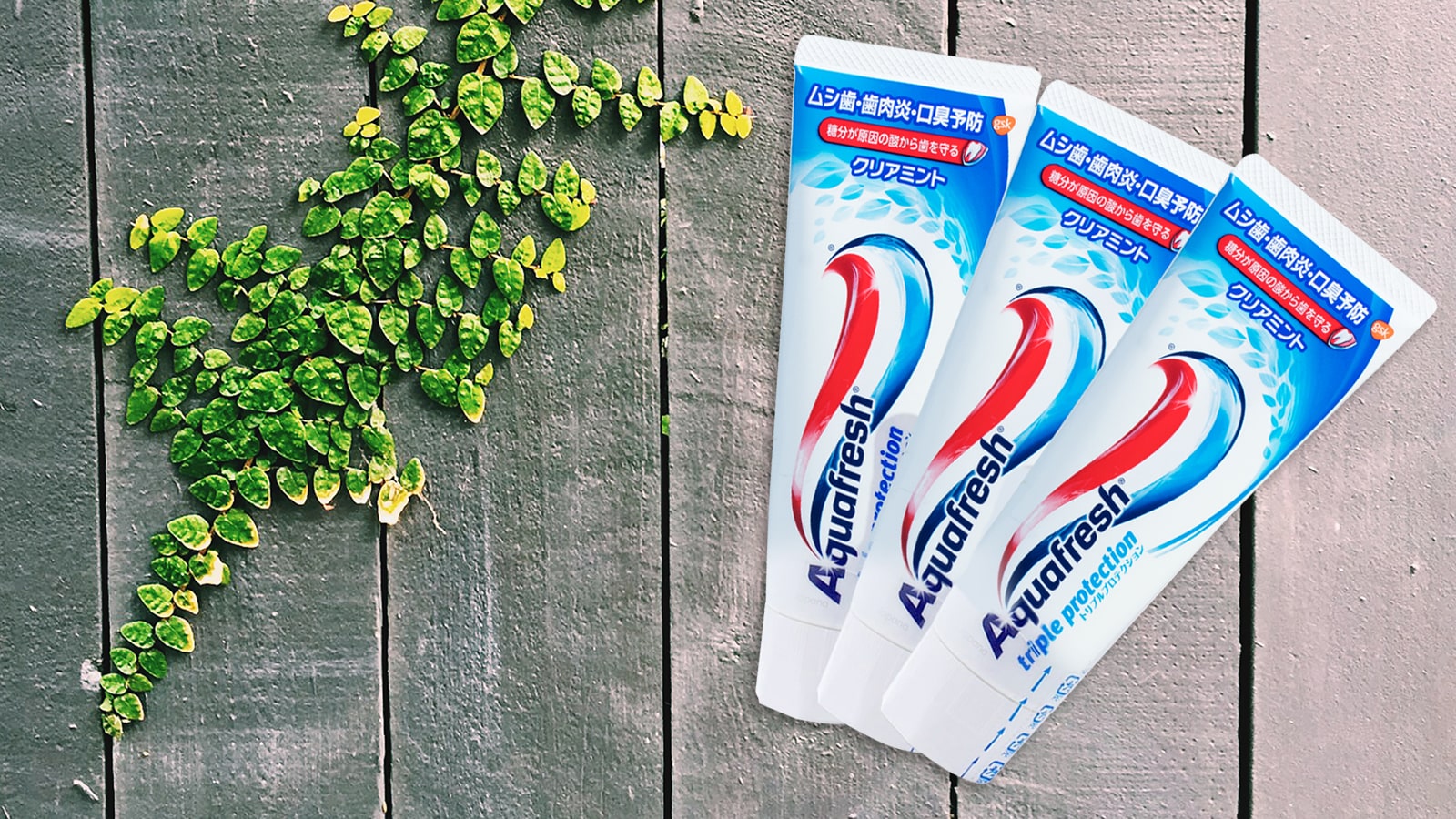 Những thành phần trong Aquafresh Fresh & Minty giúp bảo vệ răng như thế nào?
